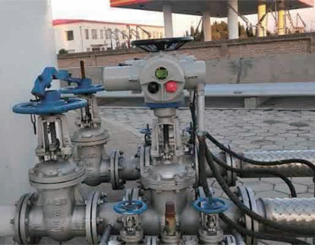 The petroleum industry