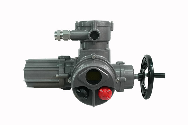 EM series intelligent adjustable explosion-proof +HART