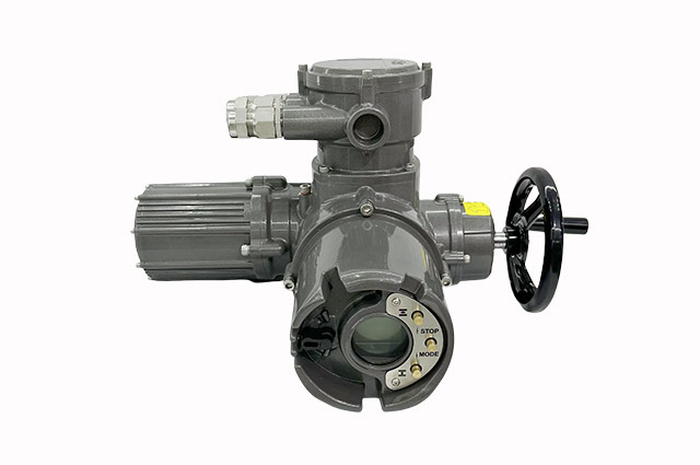 Multi-turn button type 300NM